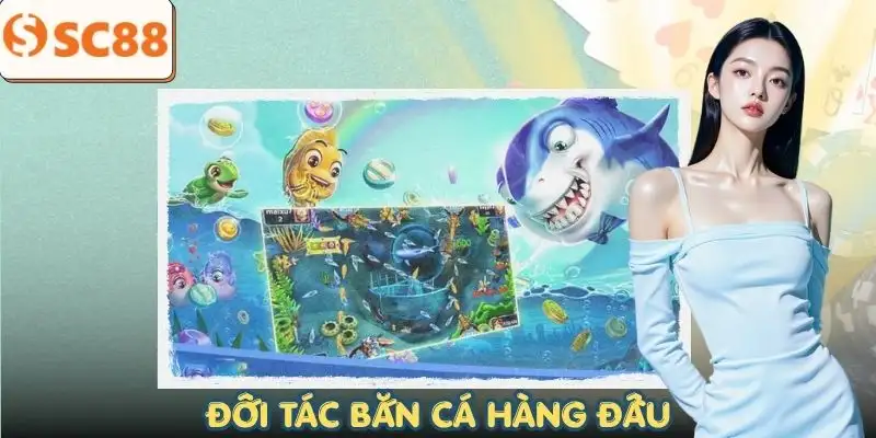 ban-ca-nha-cung-cap