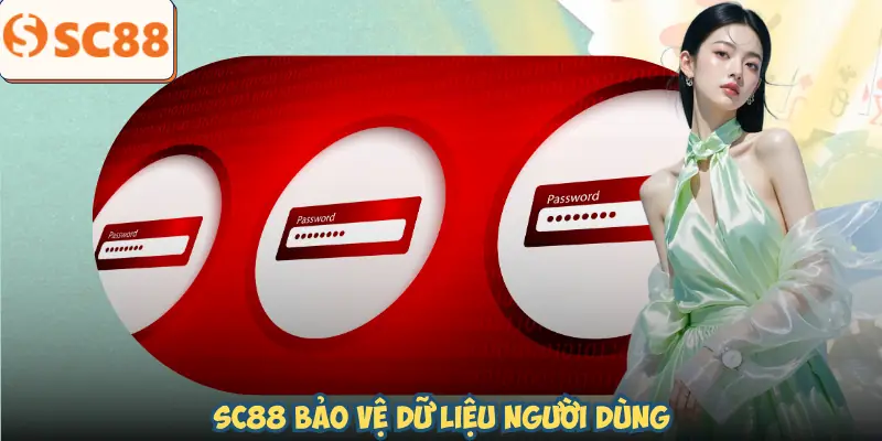 chinh-sach-bao-mat-cach-bao-ve