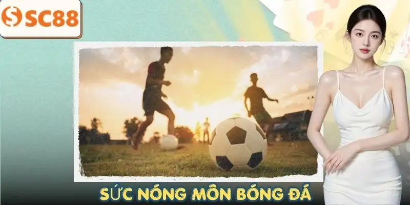 the-thao-bong-da